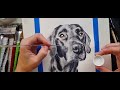 How to paint a black dog breed labrador in watercolor - timelapse