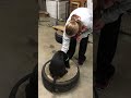 Scotty the Shed Dog Obedience Workout by Gracie