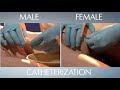 HAL® S3201 - Part 10 - Catheterization