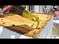 Beekeeping: How To Check Your Hives For Swarm Cells