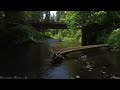 Oregon 4K Nature Relaxation Film - Relaxing Piano Music - Natural Landscape