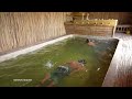 Building Private Swimming Pools Underground Inside Private Craft-Bamboo Villa
