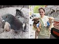 Unbelievable Animals Who Adopted Other Animals