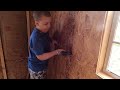 Shed to House Tiny House Build