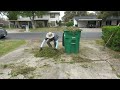 Home Owner in Military haven't been home in 4 years so I HELPED him out with FREE YARD CLEAN UP