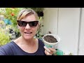 How to Water Succulents | Succulent Care Tips & Tricks