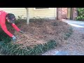 Pine Straw Install on this Beautiful Property Part 1