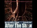 After The Show 848 - Tarot Review
