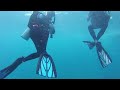 Florida Keys Scuba Diving