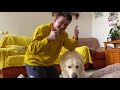 What does a Golden Retriever do when I sleep in his bed [Funny Dog Reaction]