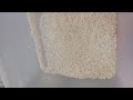 fake rice