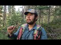 What do you do as a Forestry Technician in northern BC?