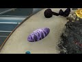 Subnautica - all creature egg hatching animation