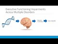 Understanding Executive Functioning in Adults with Autism Spectrum Disorders