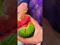 Mini Ripen Watermelon Cracking #shortvideo #ytshorts #shots