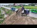 Impressive New Project Starting Landfill !! Bulldozer D20P komat'su Push soil ,Truck 5Ton Unloading