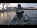 LATE APRIL WALLEYES Below a Mississippi River Lock and Dam
