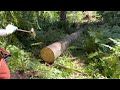 How To Keep Your Chainsaw Sharp Cutting Firewood Logs