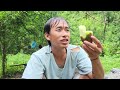 Single father, harvesting pumpkins to sell, helping his wife take care of the ducks and chickens