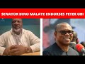 Senator Dino Melaye Endorses Peter Obi