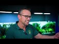 The PHILOSOPHY of Aquascaping | Building a Planted Tank with GEORGE FARMER
