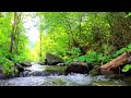 Ultra Relaxing Piano Music For Stress ✨Healing Inner Anger And Sorrow Removal