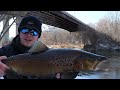 How to Catch Milwaukee River Brown Trout and Steelhead