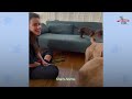 Growling Momma Pittie Momma Turns into the Biggest Lovebug | The Dodo Pittie Nation