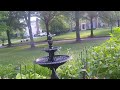 Maryland Gardening - Ten Minutes of Morning Sunshine