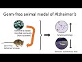 Alzheimer's Disease and the Gut Microbiome