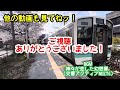 【Nゲージ】D51型蒸気機関車をじっくりと見るだけの動画【関水金属】【デゴイチ】