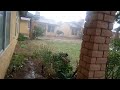 Cat coming in from storm.