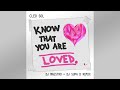 CLEO SOL- KNOW THAT YOU ARE LOVED (DJ MAESTRO + DJ SUPA D REMIX)