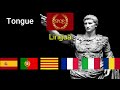 Romance Languages Compared To Latin - Body Parts