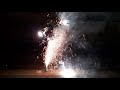 Silvester von 2019 auf 2020 (Video 4 von 9)