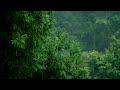 THUNDERSTORM THUNDER RAIN AND BIRDS SOUNDS IN THE FOREST for Relaxation | 2 hours