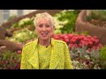 RHS Chelsea Flower Show 2024 - Episode 2 - The King & The Queen in RHS
