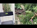 Guided Tour Of Our Raised Bed Vegetable Garden In June