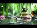 Música Relajante y Sonidos De Agua De Bambú Ayudan a Estabilizar La Mente y Restaurar La Salud