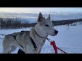 Tromsø Travel Vlog: Gateway to the Arctic