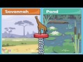 Animals and Their Homes - Fun Learning Game for Kids