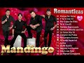 Mix grupo mandingo💖Colección de las mejores románticas✅Mejores Canciones Inoividables#romantica