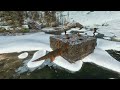 Trapped in the Frozen Tundra!!! - Ark: Survival Ascended