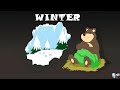 Seasons in Earth - video for kids