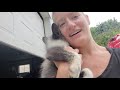 Kipper meets animals -- Featuring Finnegan Fox