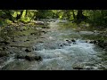 4K Forest River - Stream Sounds for Sleeping - No Birds - Relaxing Nature Video - Water Flowing 10 h