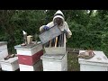 Hive 14 What's your Problem! S8E20 #beekeeping