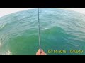 Striped bass fishing Montauk