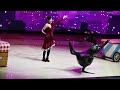 Sea Lion Show 海狮表演 (Full Show) - Shanghai Haichang Ocean Park - December 9, 2023