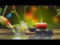 Relaxing Music for Stress Relief with Bird sound, Relaxing Piano, Relax Your Mind, Healing the Mind.